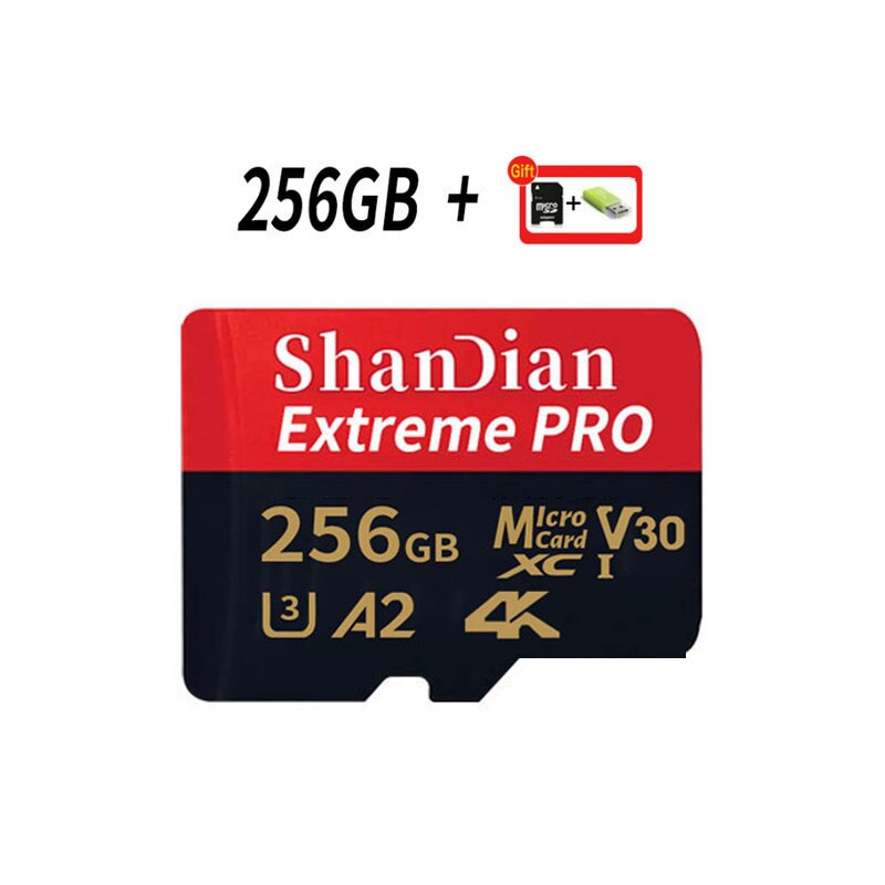 256 GB